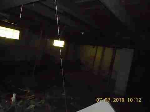 16737 Dolphin (30)_m.jpg